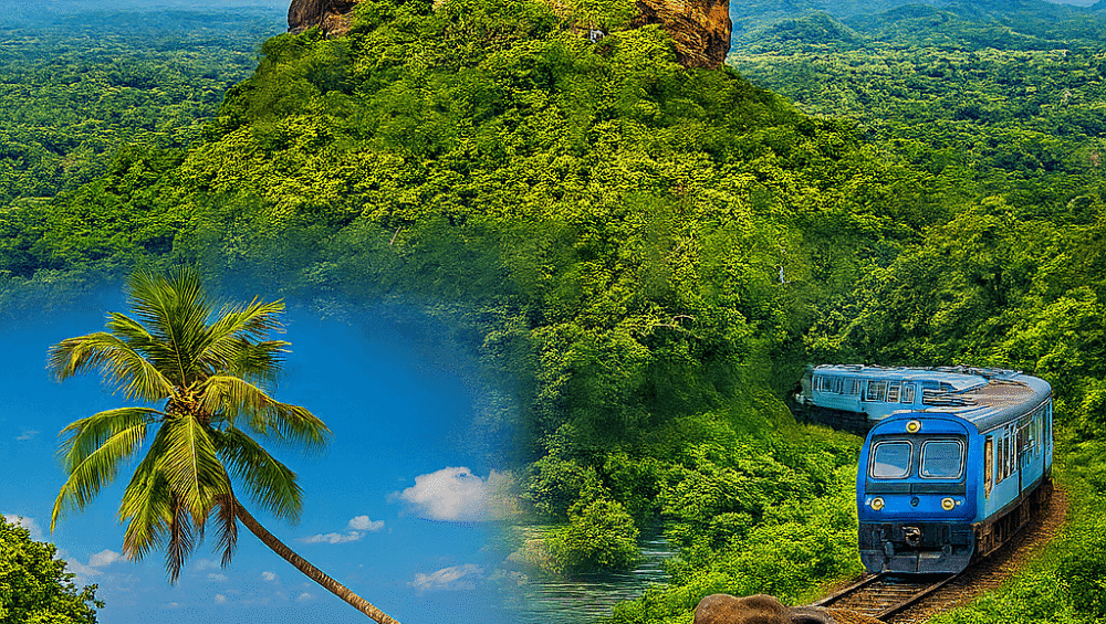 plan your trip to sri lanka. Image with sigiriya, ella train, elephant and coconut tree at beach.